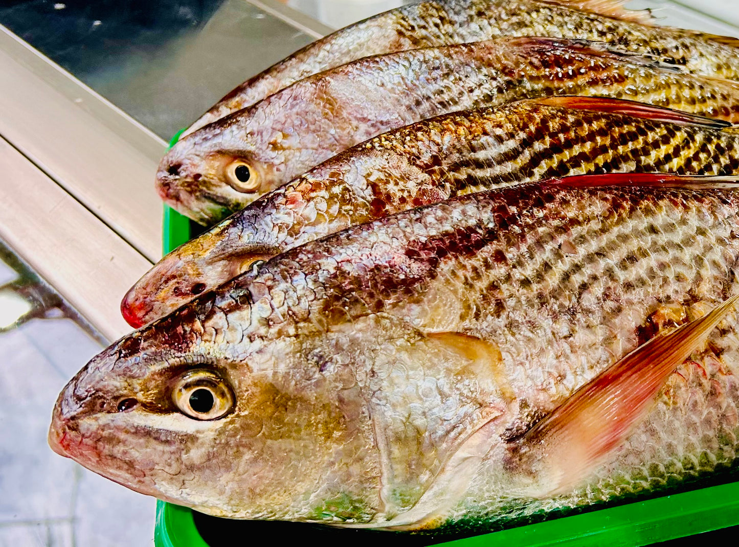 Authentic Uruguayan Asado Experience